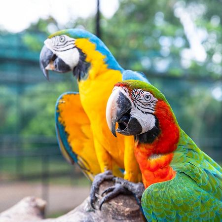 Birds Resort Hambantota Exterior foto
