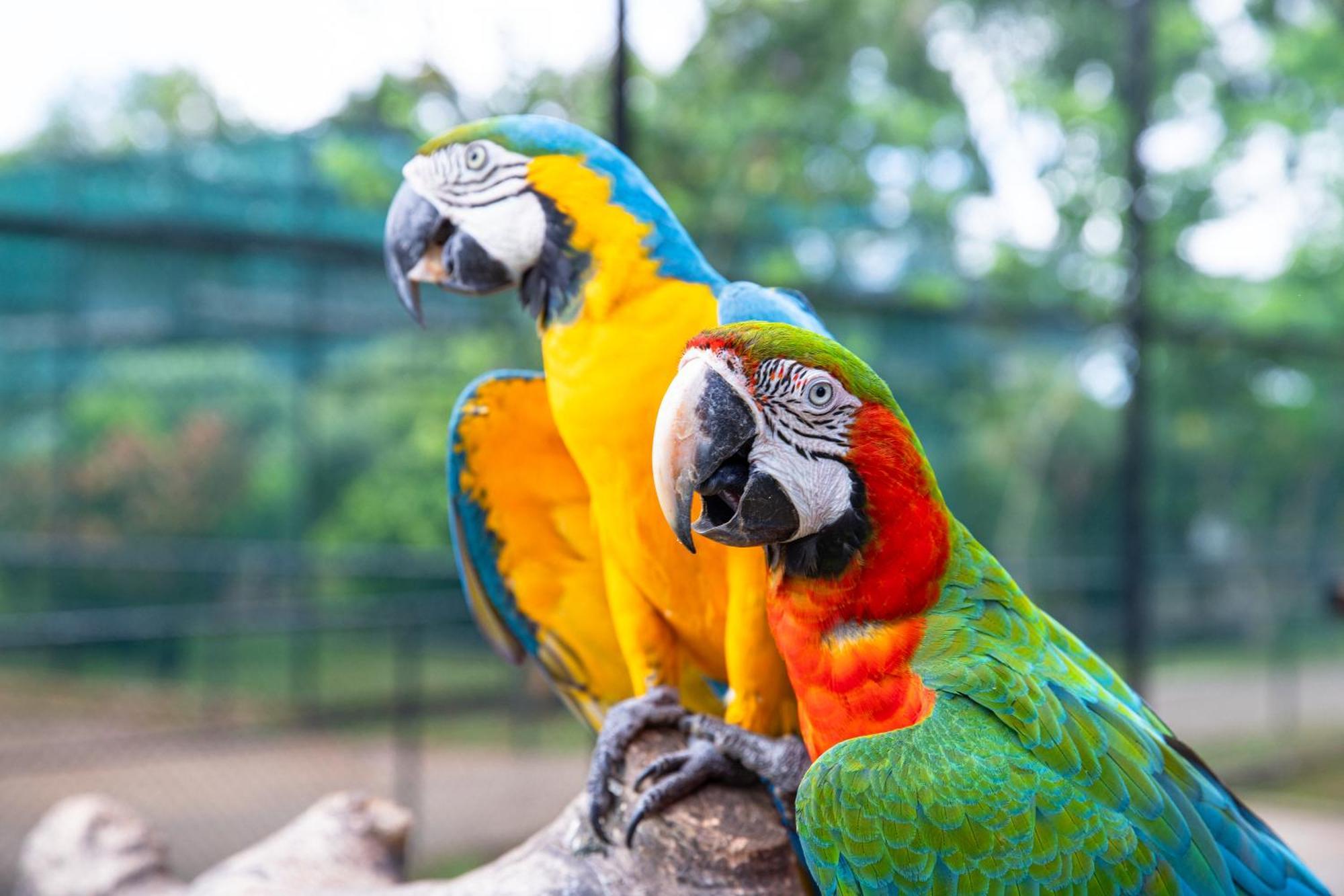 Birds Resort Hambantota Exterior foto
